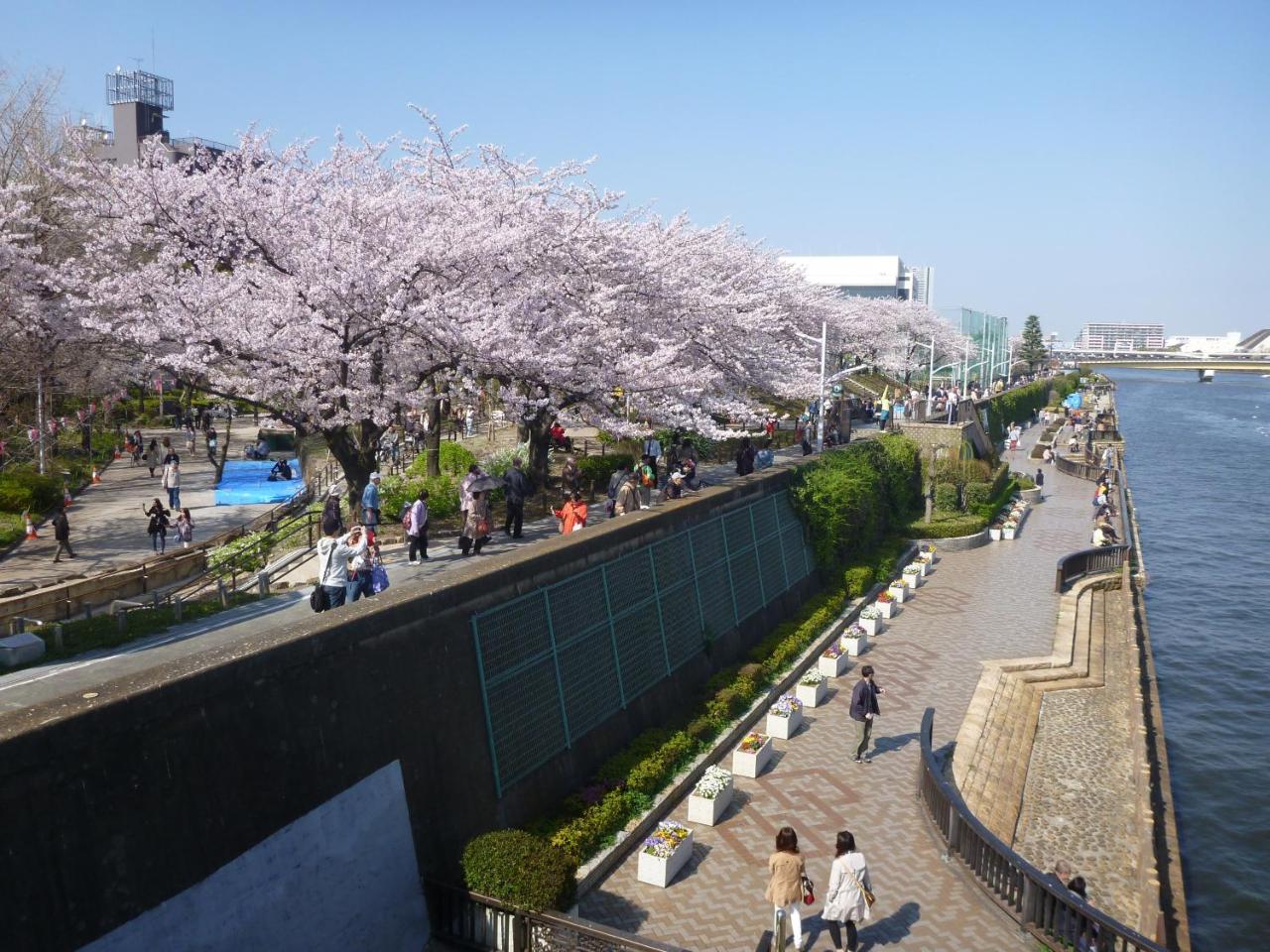 Hotel New Tochigiya Tōkyō Extérieur photo